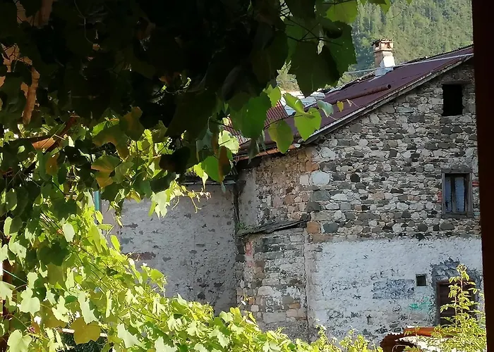 L'inizio... Nyaraló